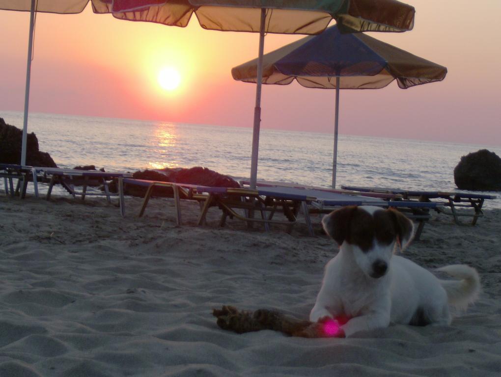 Aparthotel Aqua Marine Falasarna Zewnętrze zdjęcie